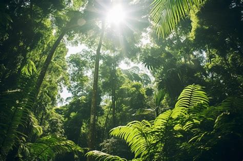 Premium Photo Lush Tropical Rainforest With Dense Foliage