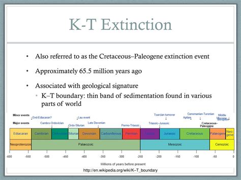 PPT - The K-T Extinction PowerPoint Presentation, free download - ID ...