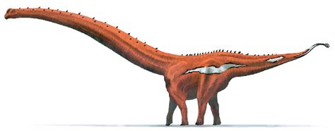 Mamenchisaurus Pictures & Facts - The Dinosaur Database