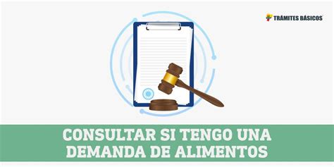 C Mo Saber Si Tengo Una Demanda De Alimentos En Ecuador