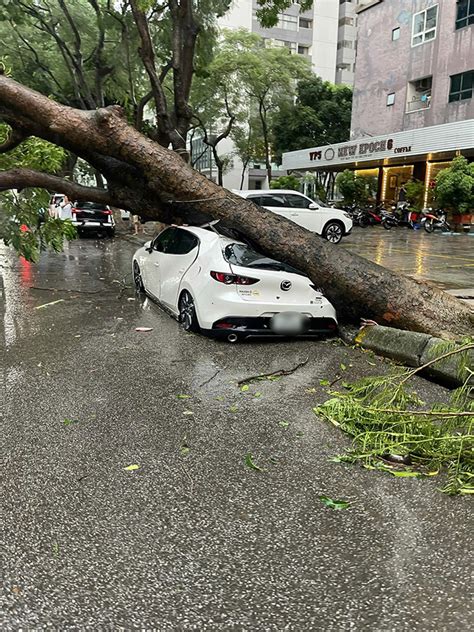 Hàng Loạt ô Tô ở Hà Nội Bị Cây đè Bẹp Trong Cơn Mưa Nháp Trước Khi