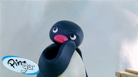Best Episodes from Season 5 | Pingu - Official Channel | Cartoons For ...