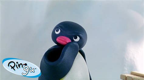 Best Episodes from Season 5 | Pingu - Official Channel | Cartoons For Kids