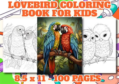 best lovebird biting for beginners 2