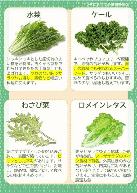 サラダにおすすめの葉物野菜 南あわじ市ホームページ