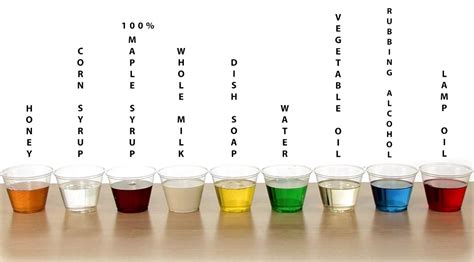 Density Science Experiment