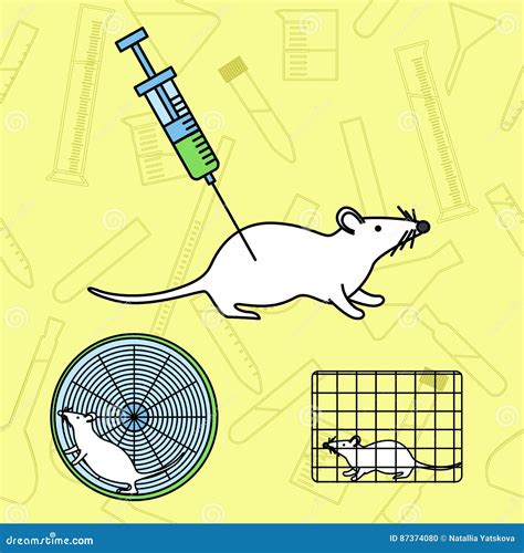 Mouse In Lab Experiments Stock Vector Illustration Of Equipment 87374080