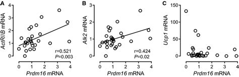 Relationship Between Expression Levels Of Prdm16 And Bmp Receptors Or