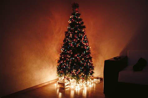 100,000+ Best Christmas Tree Photos · 100% Free Download · Pexels Stock Photos