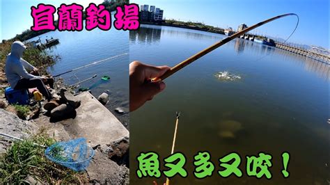 宜蘭釣魚方便，魚還不少的釣場，第一次來釣也可以拉爽爽！五結防潮大閘門釣查 Youtube