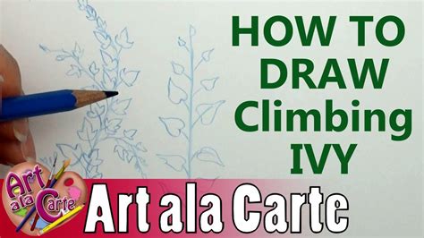 How To Draw Climbing Ivy Youtube