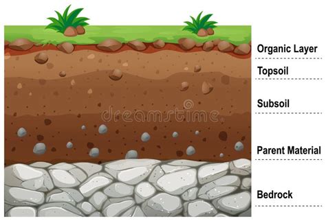 Layers Of A Soil Profile Stock Vector Illustration Of Dirt