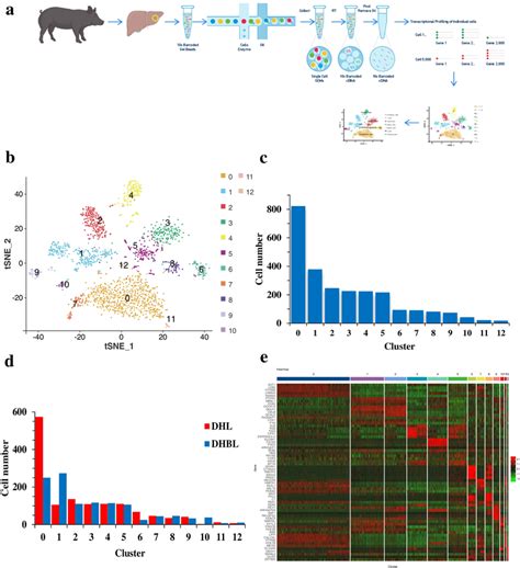 Landscape Of Snrna Seq From The Porcine Hepatic Tissue A Overall