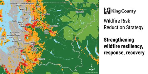 King County Unveils New Wildfire Strategies Sammamish Wa Patch