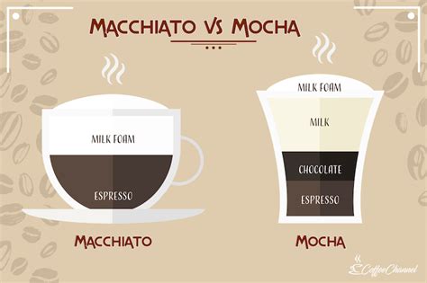 Difference Between Mocha And Macchiato Differences Finder