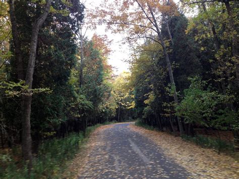 Nature Trail at Harrington Beach State Park, Wisconsin image - Free stock photo - Public Domain ...