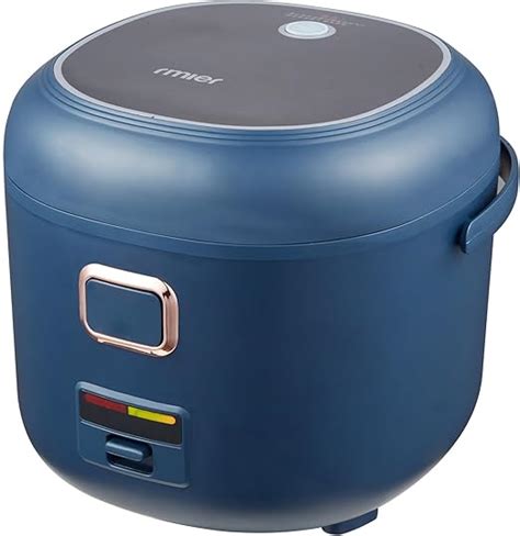 Amierous Mini Rice Cooker 2l Portable Travel Rice Cooker For Truck12v 24v Small