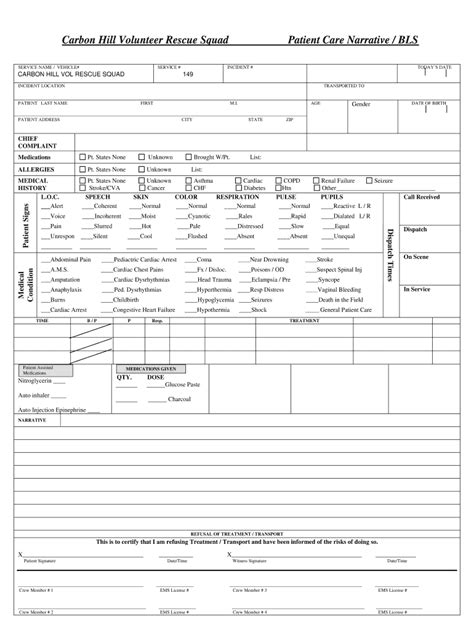 Patient Care Report Template Sarseh