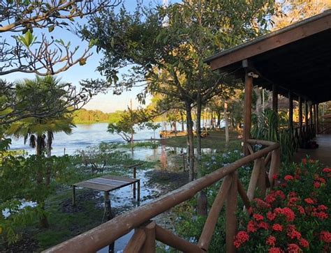 Pantanal Jungle Lodge - UPDATED 2018 Prices & Reviews (Corumba, Brazil) - TripAdvisor