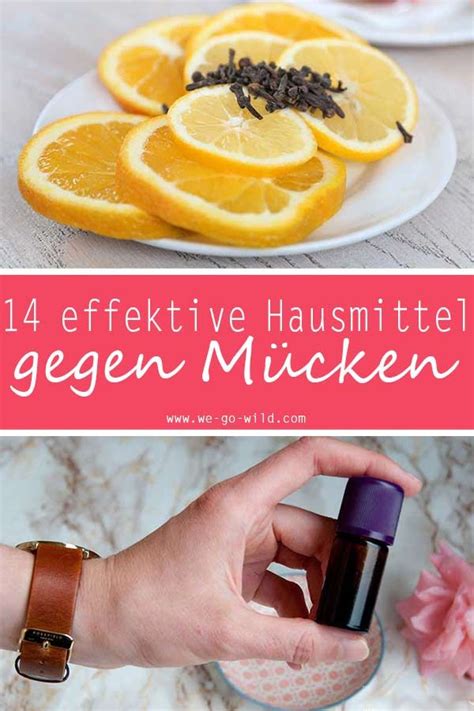 14 effektive hausmittel gegen mücken mückenstichen vorbeugen Artofit