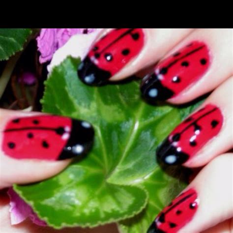 Lady Bug Nails Simple Nail Designs Beauty Nails Design Nail Designs