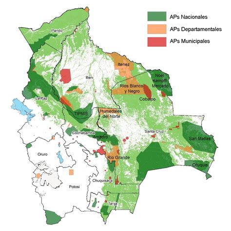 Deforestación Y Áreas Protegidas En Bolivia Conservation Strategy Fund