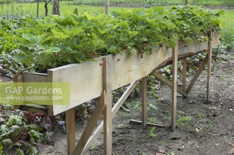 Handmade Raised Bed Stock Photo By Hanneke Reijbroek Image