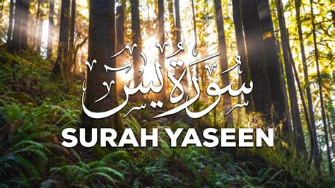 Surah Yasin Yaseen Full Hd Arabic Text By Mishary