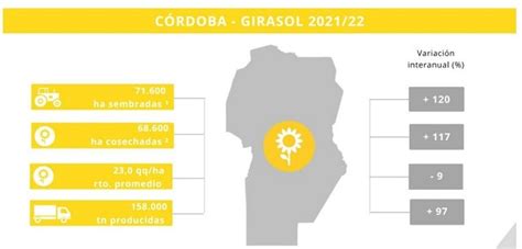 Cálculos Finales De Producción De Girasol En Córdoba Campaña 202122