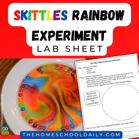 Scientific Method Activity Worksheets Skittles Graphing Science