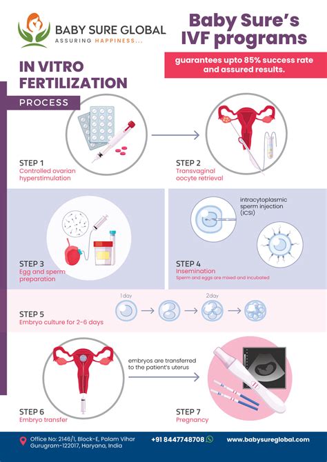 Exploring Fertility Procedures Surrogacy Ivf And More