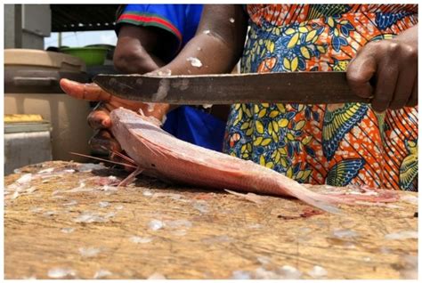 Lebih Cepat Tanpa Pisau Ini Cara Bersihkan Sisik Ikan Andalkan Jenis