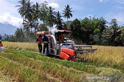 Kinerja Pertanian Perlu Lebih Ditopang Modernisasi Teknologi Antara News