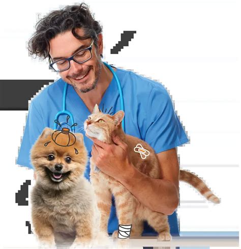 Vet Clinic Partner Programme Rewards And Benefits Pd Insurance