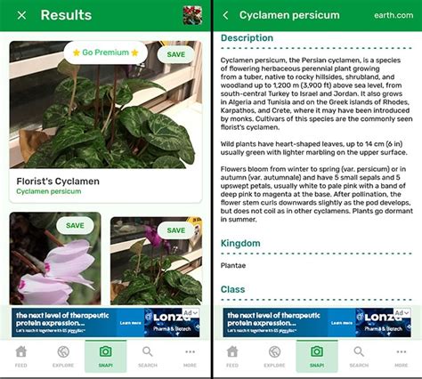 10 Best Free Plant Identification Apps For IOS Android 2023