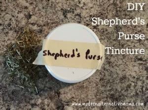 Shepherd’s Purse Tincture