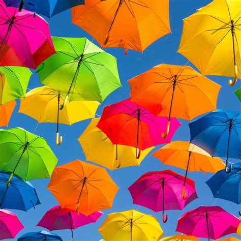 Umbrellas In a variety of Designs | Shop Now at WWSM