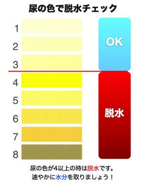 あなたの色は大丈夫？ おしっこの色でわかる健康状態。ちょっと便利な尿色診断表｜音史のブログ