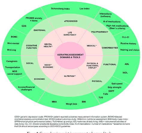 Comprehensive geriatric assessment spheres and tools. | Download ...