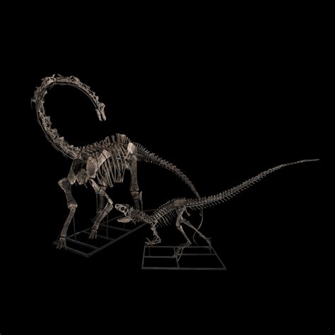 THE EPIC FIGHT BETWEEN ALLOSAURUS AND DIPLODOCUS – Theatrum Mundi