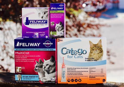 Keep Your Cats Healthy and Happy with Ceva Cat Products - #Catego # ...