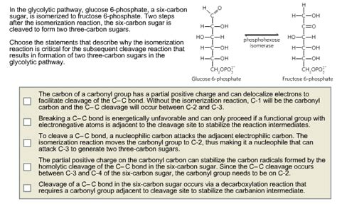 Solved H In The Glycolytic Pathway Glucose 6 Phosphate A Chegg