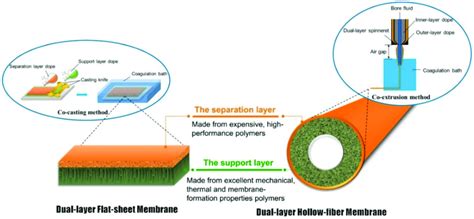 The Conceptual Schematic Of Dual Layer Flat Sheet And Hollow Fiber