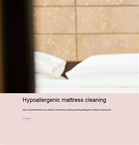 Hypoallergenic Mattress Cleaning