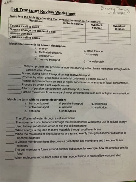 Cell Transport Th Grade Science Worksheets Vocabulary Sets And