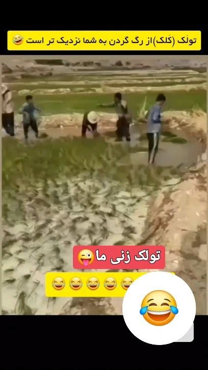 Loribistinstagram On Pinno سی تولک زدن امادیت یا ن 😂😂😂 Adminabra