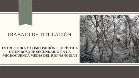 PDF ESTRUCTURA Y COMPOSICIÓN FLORÍSTICA DE UN BOSQUE repositorio