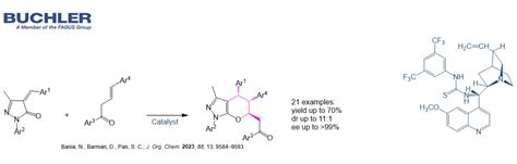Diels-Alder reaction - Buchler GmbH