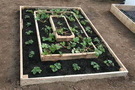 How To Build A Tiered Raised Strawberry Bed