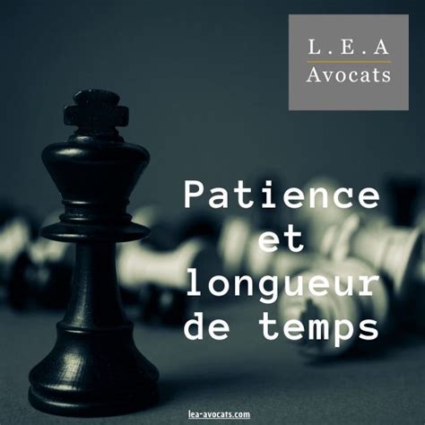 L E A Avocats Agent Commercial Patience Et Longueur De Temps L E